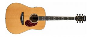 Orangewood guitars review 2022